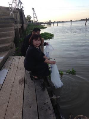 นางสาวกรุณา  นิยมไทย  ปฏิรูปที่ดินจังหวัดชัยนาทร่วมพิธีปล่อยพันธุ์สัตว์น้ำเพื่อบำเพ็ญเป็นพระราชกุศลพระบาทสมเด็จพระปรมินทรมหาภูมิพลอดุลยเดช มหิตลาธิเบศรรามาธิปดี จักรีนฤบดินทร สยามินทราธิราชบรมนาถบพิตร ครบ ๑๐๐ วัน (สตมวาร) 