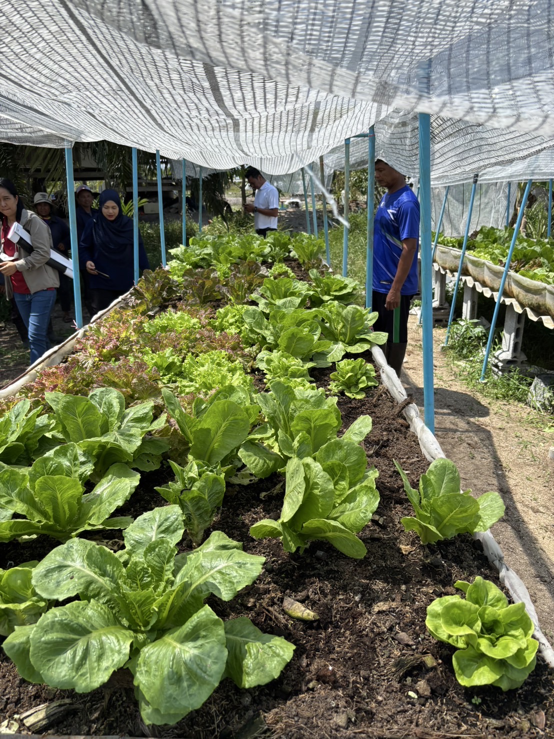  มูลนิธิฯ ให้ทุนซื้อเครื่องสับย่อย และเครื่องยนต์เบนซิน 8 แรงม้า