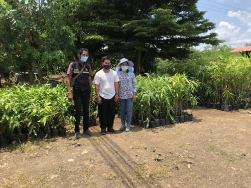 ตรวจรับวัสดุทางการเกษตร เพื่อสนับสนุนปัจจัยการผลิตแก่เกษตรกรที่เข้าร่วมโครงการส่งเสริมและพัฒนาเกษตรทฤษฎีใหม่ในเขตปฏิรูปดินจังหวัดจันทบุรี  และโครงการส่งเสริมระบบวนเกษตรในเขตปฏิรูปที่ดินจังหวัดจันทบุรี 