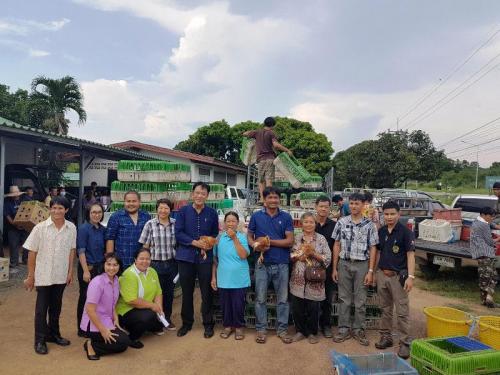 มอบปัจจัยการผลิตโครงการ  5 ประสาน สืบสานเกษตรทฤษฎีใหม่ ถวายในหลวง ปีงบประมาณ 2561
