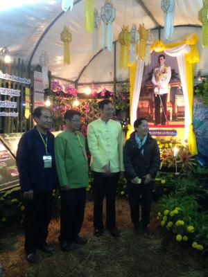 งานกาชาดฤดูหนาวและงาน O-top ของดีเมืองเชียงใหม่ 