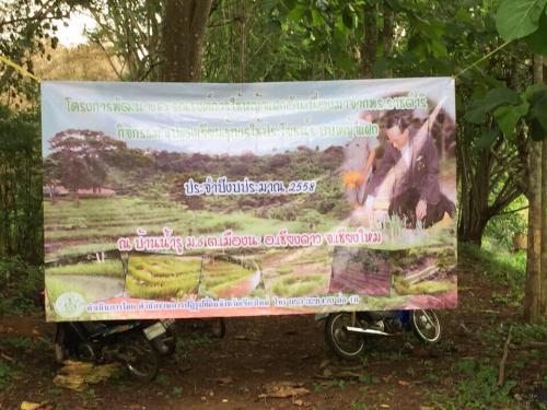 ส.ป.ก. เชียงใหม่ จัดโครงการพัฒนาและรณรงค์การใช้หญ้าแฝกเนื่องมาจากพระราชดำริฯ 