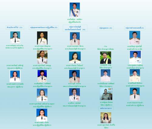 โครงสร้างองค์กร