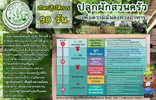 แผนปฏิบัติการ 90 วัน ปลูกผักสวนครัว เพื่อสร้างความมั่นคงทางอาหาร