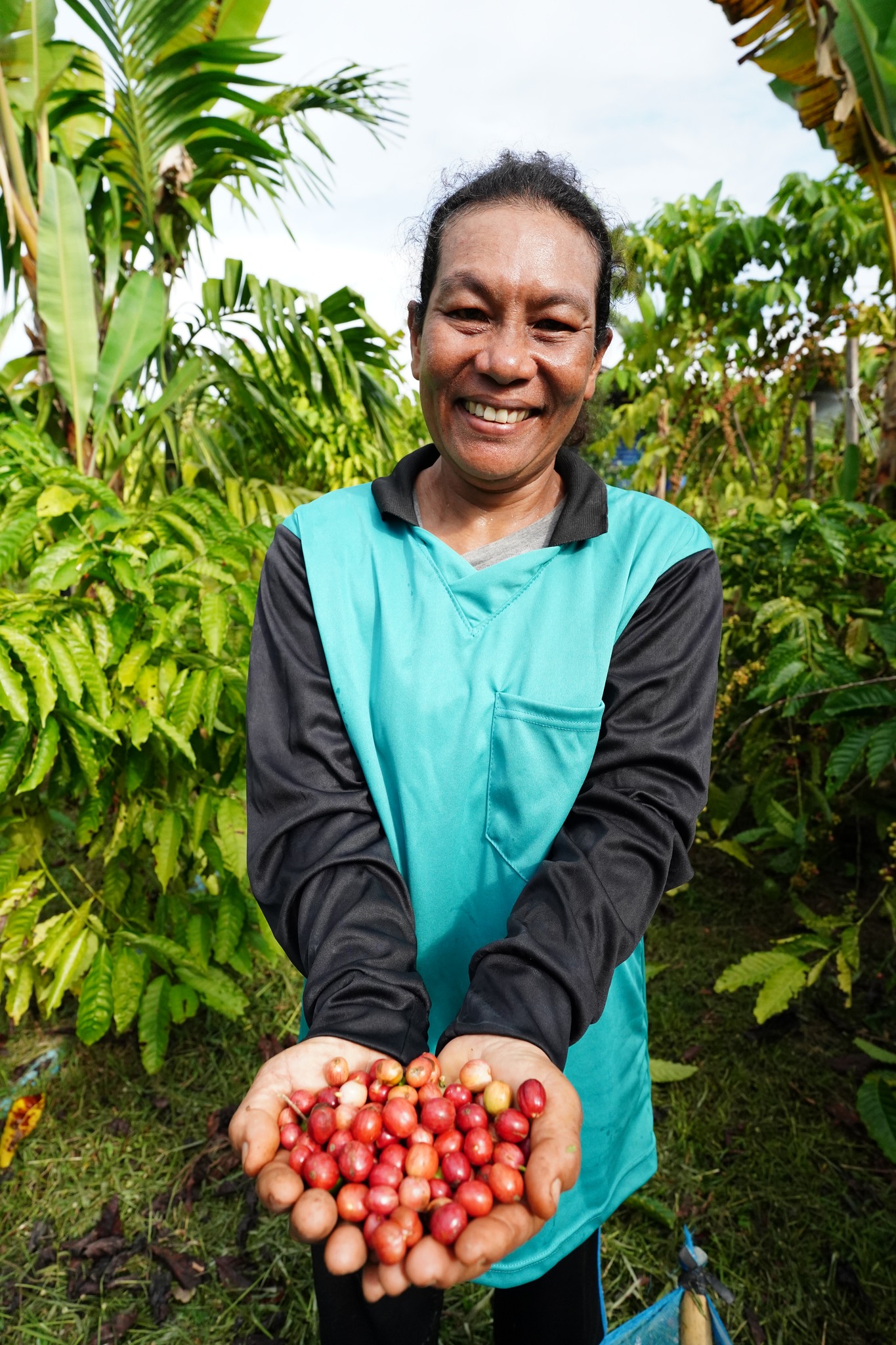 นางสาวลำใย องอาจ ต้นแบบเกษตรกรผู้ปลูกกาแฟโรบัสต้า คทช.หงษ์เจริญ โครงการส่งเสริมและพัฒนาอาชีพเพื่อแก้ไขปัญหาที่ดินของเกษตรกร กิจกรรมส่งเสริมและพัฒนาอาชีพเพื่อแก้ไขปัญหาที่ดินทำกินของเกษตรกร ณ พื้นที่ แปลง NO83 คทช.หงษ์เจริญ ตำบลหงษ์เจริญ อำเภอท่าแซะ จังหวัดชุมพร