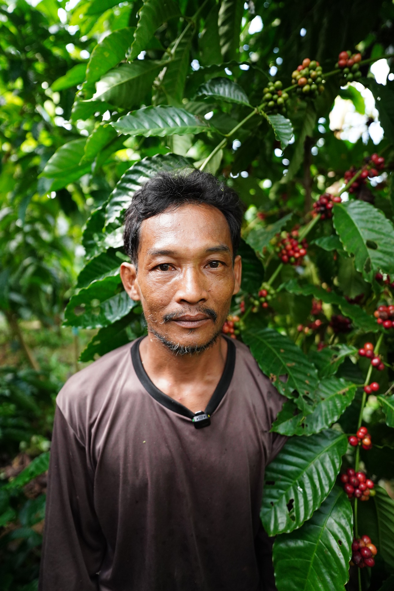 นายมนตรี พุฒพรหม ต้นแบบเกษตรกรผู้ปลูกกาแฟโรบัสต้า คทช.หงษ์เจริญ โครงการส่งเสริมและพัฒนาอาชีพเพื่อแก้ไขปัญหาที่ดินของเกษตรกร กิจกรรมส่งเสริมและพัฒนาอาชีพเพื่อแก้ไขปัญหาที่ดินทำกินของเกษตรกร ณ พื้นที่ แปลง NO83 คทช.หงษ์เจริญ ตำบลหงษ์เจริญ อำเภอท่าแซะ จังหวัดชุมพร