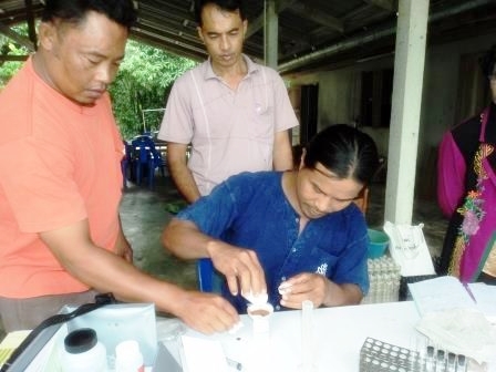 โครงการสร้างและพัฒนาเกษตรกรรุ่นใหม่ (นำร่อง)