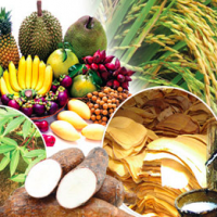 title - สินค้าเกษตรไทยส่งออกอาเซียน ปี 2561 เน้นรักษามาตรฐานและเพิ่มคุณภาพผลผลิต