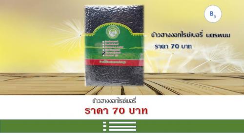 ข้าวฮางงอกไรซ์เบอรี่ นครพนม