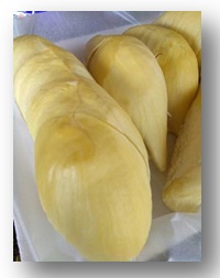 ทุเรียน ศรีสะเกษ