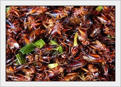 จิ้งหรีด-แมงสะดิ้ง (ทอด)