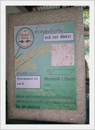 ข้าวหอมมะลิ 105
