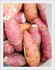 มันเทศ