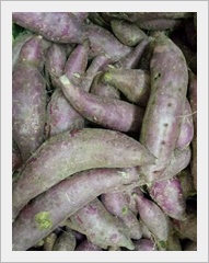 มันเทศสีม่วง