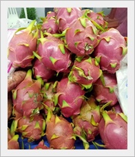 แก้วมังกร