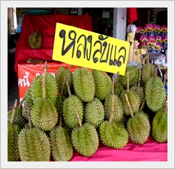 ทุเรียนหลงลับแล