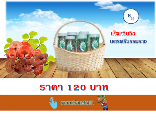 เห็ดหลินจือ