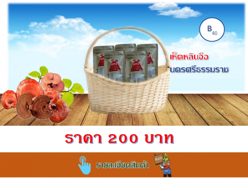 เห็ดหลินจือ (ซอง)