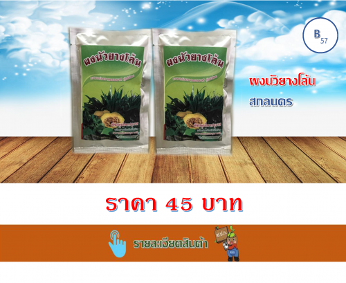 ผงนัวยางโล้น