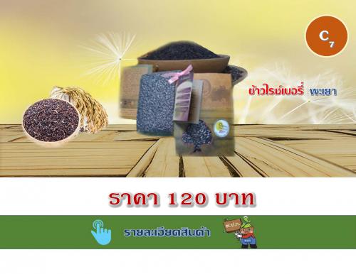 ข้าวไรซ์เบอรี่ พะเยา