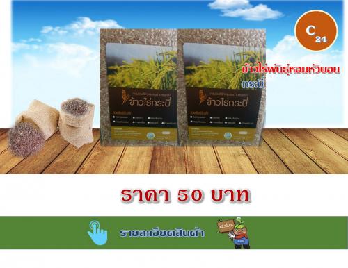 ข้าวไร่พันธุ์หอมหัวบอน กระบี่