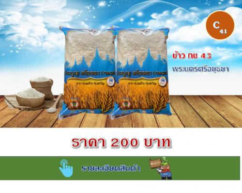 ข้าว กข 43 พระนครศรีอยุธยา
