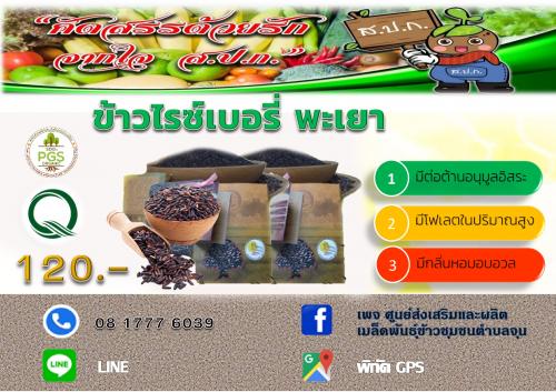 ข้าวไรซ์เบอร์รี่ พะเยา