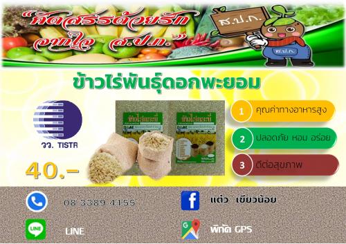 ข้าวไร่พันธุ์ดอกพะยอม 