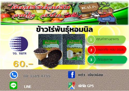 ข้าวไร่พันธุ์หอมนิล