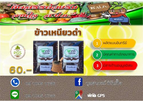 ข้าวเหนียวดำ แพร่