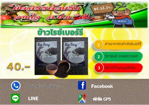 ข้าวไรซ์เบอร์รี่ พระนครศรีอยุธยา