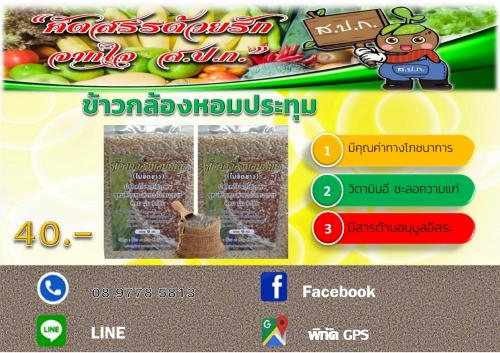 ข้าวกล้องหอมประทุม พระนครศรีอยุธยา