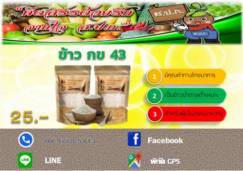 ข้าว กข 43