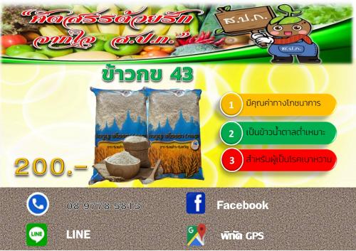 ข้าว กข 43