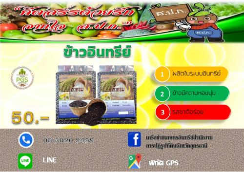 ข้าวอินทรีย์ อุดรธานี