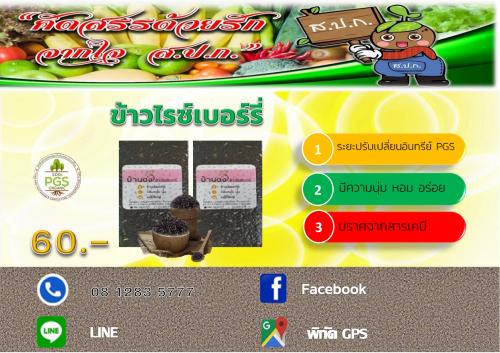 ข้าวไรซ์เบอร์รี่ พิษณุโลก