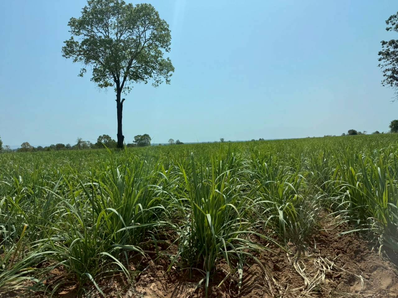 title - เจ้าหน้าที่กลุ่มที่ดินและผลประโยชน์ สำนักบริหารกองทุน เข้าสัมภาษณ์เชิงลึก (Focus group Discussion : FGD) ปฏิรูปที่ดินจังหวัด พร้อมด้วยเจ้าหน้าที่ ส.ป.ก.กาฬสินธุ์ และส.ป.ก.ศรีสะเกษ