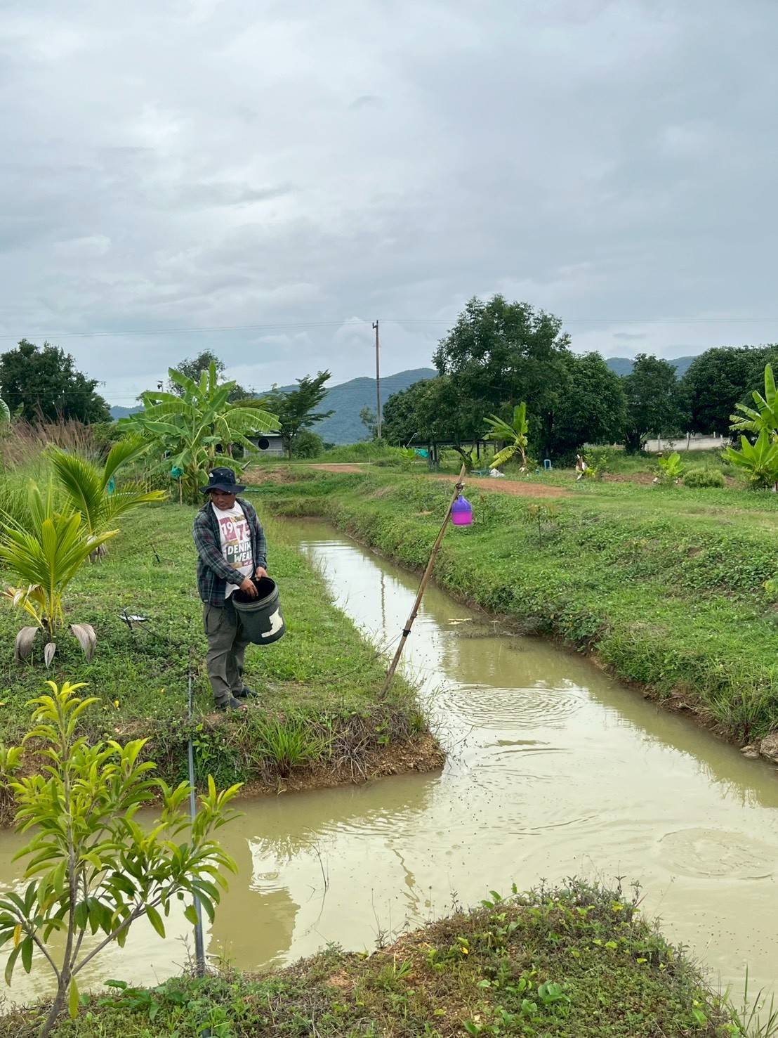 title - สำรวจคุณภาพชีวิตครัวเรือนโครงการพัฒนาเกษตรกรรมยั่งยืนในเขตปฏิรูปที่ดินจังหวัดนครสวรรค์ ประจำปีงบประมาณ พ.ศ. 2568
