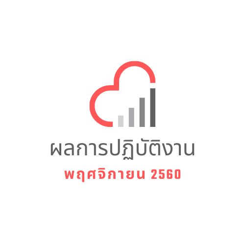 ผลการปฎิบัติงาน พฤศจิกายน 2560 