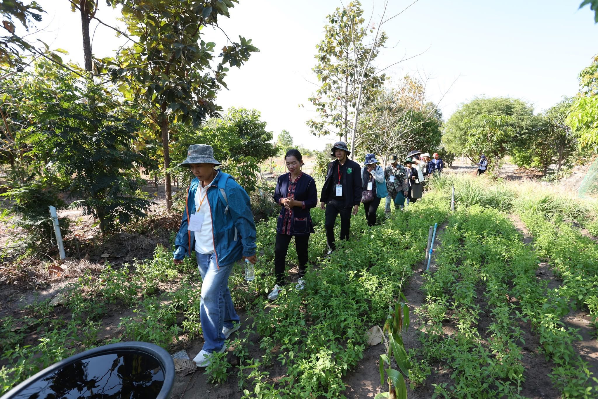 title - ส.ป.ก.กาฬสินธุ์ ลงพื้นที่สหกรณ์การเกษตรบ้านดงกล้วยในเขตปฏิรูปที่ดิน จำกัด ตำบลนาจำปา อำเภอดอนจาน จังหวัดกาฬสินธุ์ เพื่อเยี่ยมชมการดำเนินงานโครงการสัมมนาเชิงปฏิบัติการ 