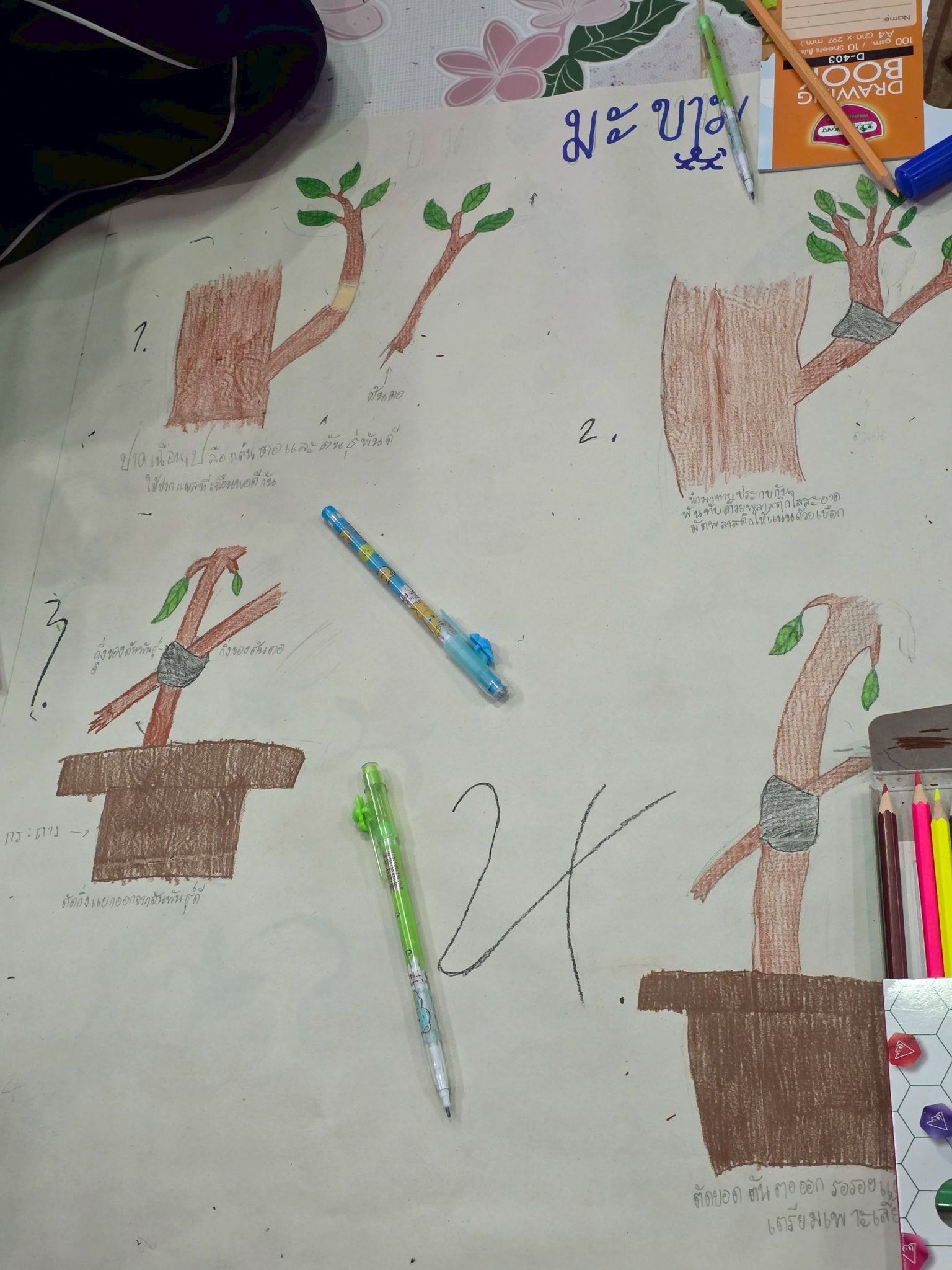 title - ส.ป.ก.กาฬสินธุ์ ร่วมเปิดการฝึกอบรมโครงการอนุรักษ์พันธุกรรมพืชอันเนื่องมาจากพระราชดำริ สมเด็จพระเทพรัตนราชสุดาฯ สยามบรมราชกุมารี (อพ.สธ.) ปีงบประมาณ 2569 ณ โรงเรียนมัธยมภูฮังพัฒนวิทย์ ตำบลดงมูล อำเภอหนองกุงศรี จังหวัดกาฬสินธุ์