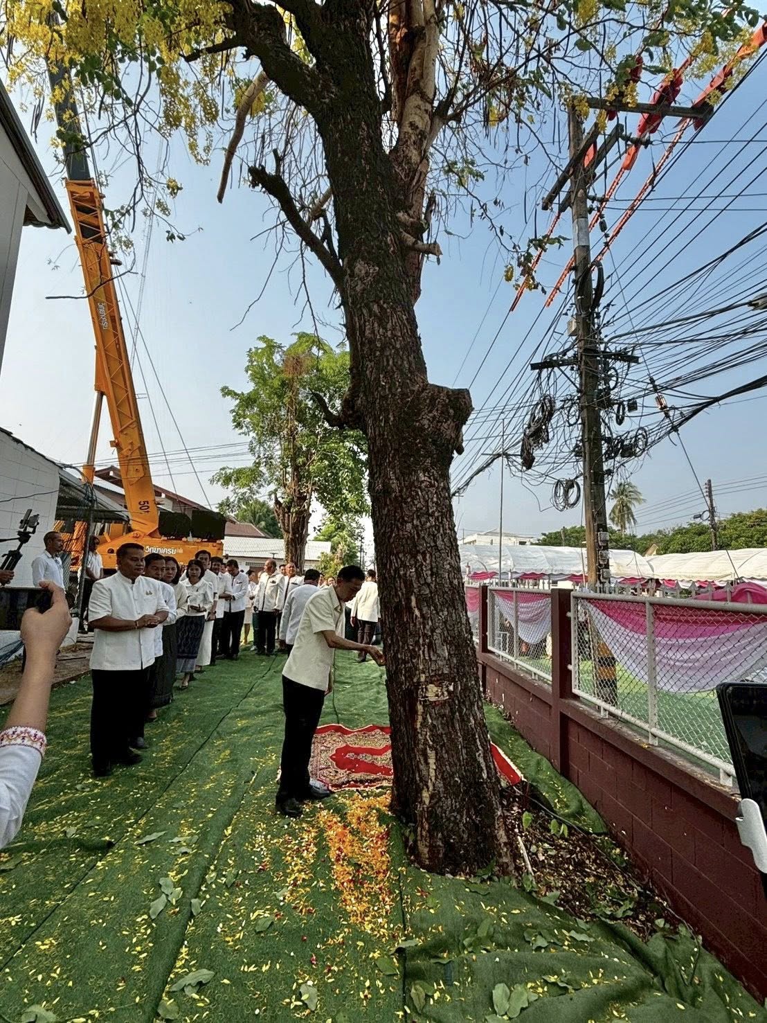 title - ส.ป.ก.กาฬสินธุ์ ร่วมพิธีพลีกรรมตัดไม้มงคล “ต้นราชพฤกษ์” เพื่อนำไปจัดสร้างเสาหลักเมืองจังหวัดกาฬสินธุ์ (ต้นใหม่) ณ บ้านพักสำนักงานคลังจังหวัดกาฬสินธุ์ อำเภอเมืองกาฬสินธุ์ จังหวัดกาฬสินธุ์