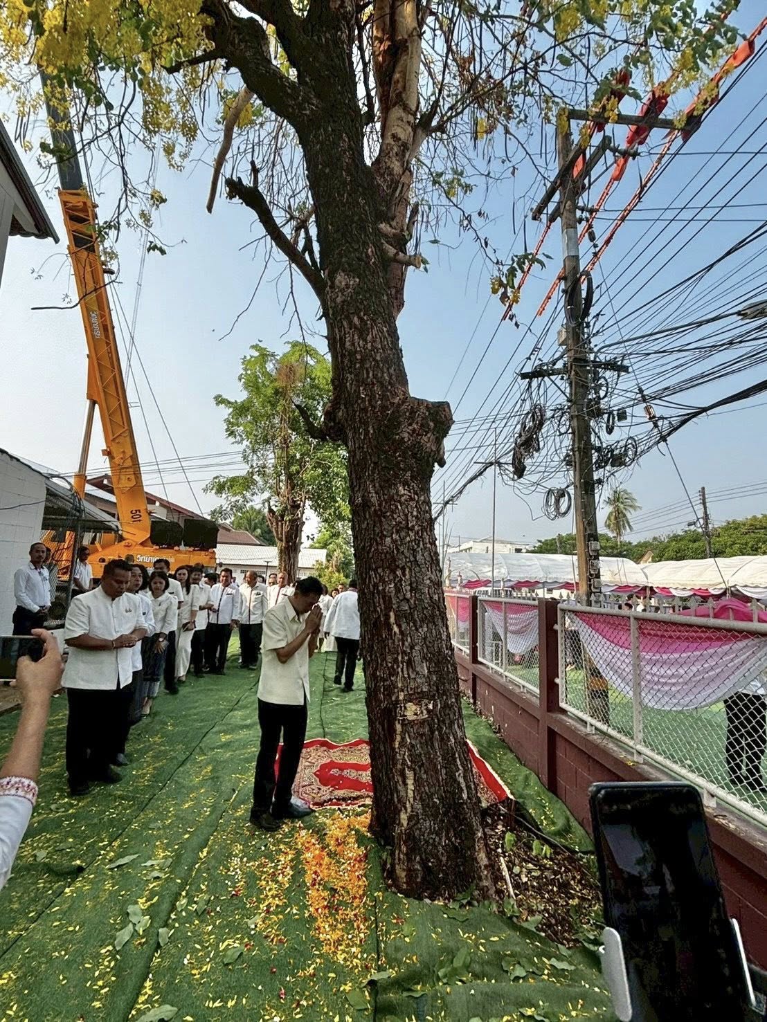 title - ส.ป.ก.กาฬสินธุ์ ร่วมพิธีพลีกรรมตัดไม้มงคล “ต้นราชพฤกษ์” เพื่อนำไปจัดสร้างเสาหลักเมืองจังหวัดกาฬสินธุ์ (ต้นใหม่) ณ บ้านพักสำนักงานคลังจังหวัดกาฬสินธุ์ อำเภอเมืองกาฬสินธุ์ จังหวัดกาฬสินธุ์