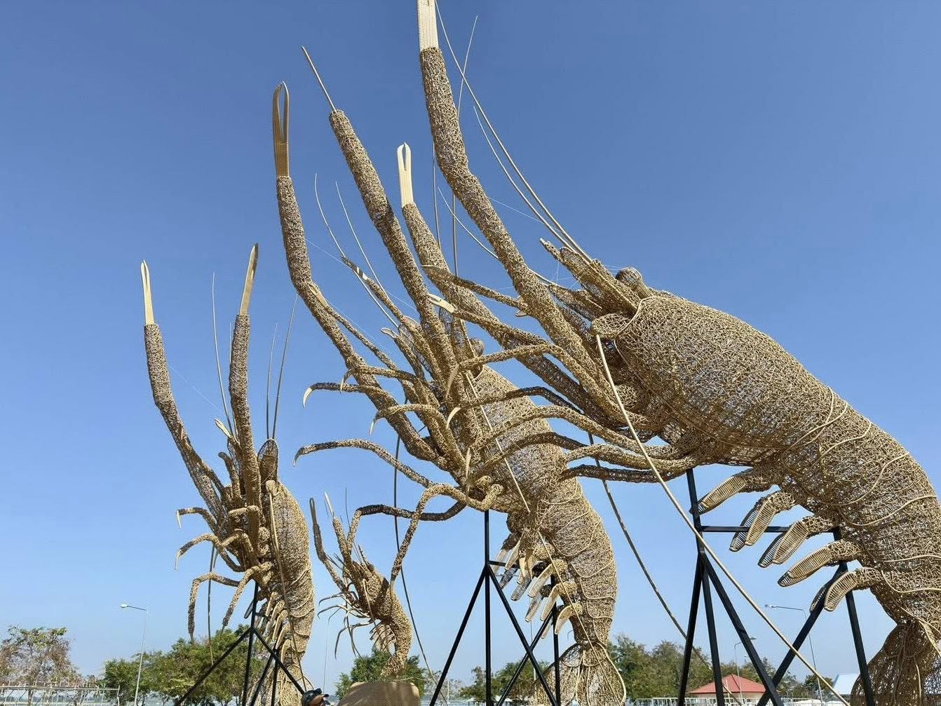 title - ส.ป.ก.กาฬสินธุ์ ร่วมเปิดงานโครงการมหกรรมกุ้งก้ามกรามกาฬสินธุ์ ณ บริเวณสวนสาธารณะเกาะมหาราช (สะพานเทพสุดา) ตำบลหนองบัว อำเภอหนองกุงศรี