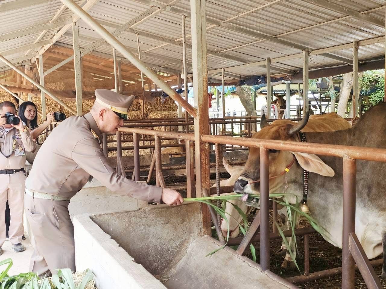 title - ส.ป.ก.กาฬสินธุ์ ร่วมต้อนรับ พลอากาศเอก จอม รุ่งสว่าง องคมนตรี รองประธานติดตามและขับเคลื่อนการดำเนินงานโครงการอันเนื่องมาจากพระราชดำริ