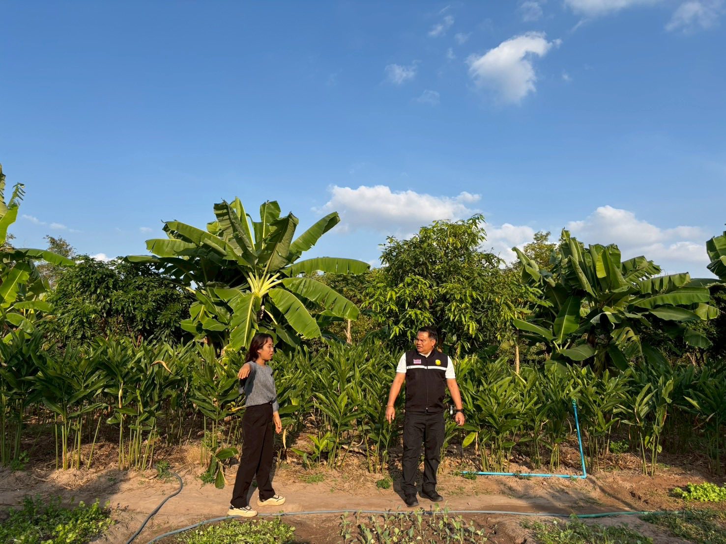 title - ส.ป.ก.กาฬสินธุ์ ลงพื้นที่ ตำบลนาจำปา อำเภอดอนจาน จังหวัดกาฬสินธุ์ 