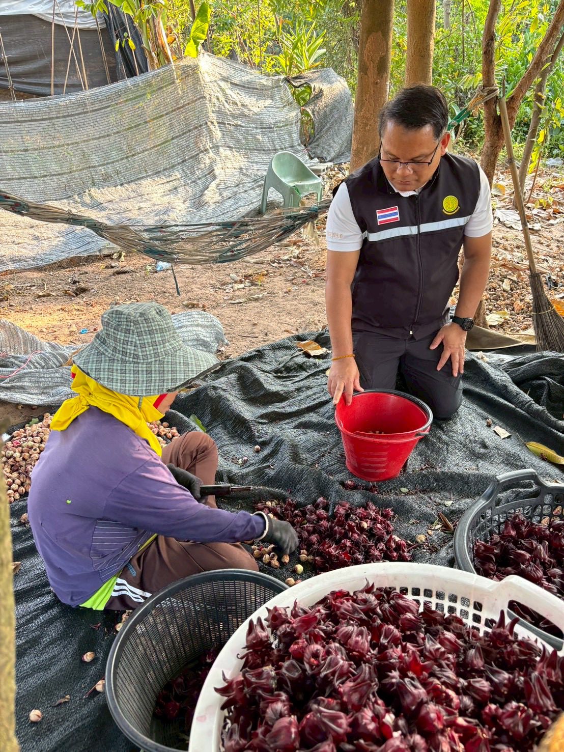 title - ส.ป.ก.กาฬสินธุ์ ลงพื้นที่ ตำบลนาจำปา อำเภอดอนจาน จังหวัดกาฬสินธุ์ 