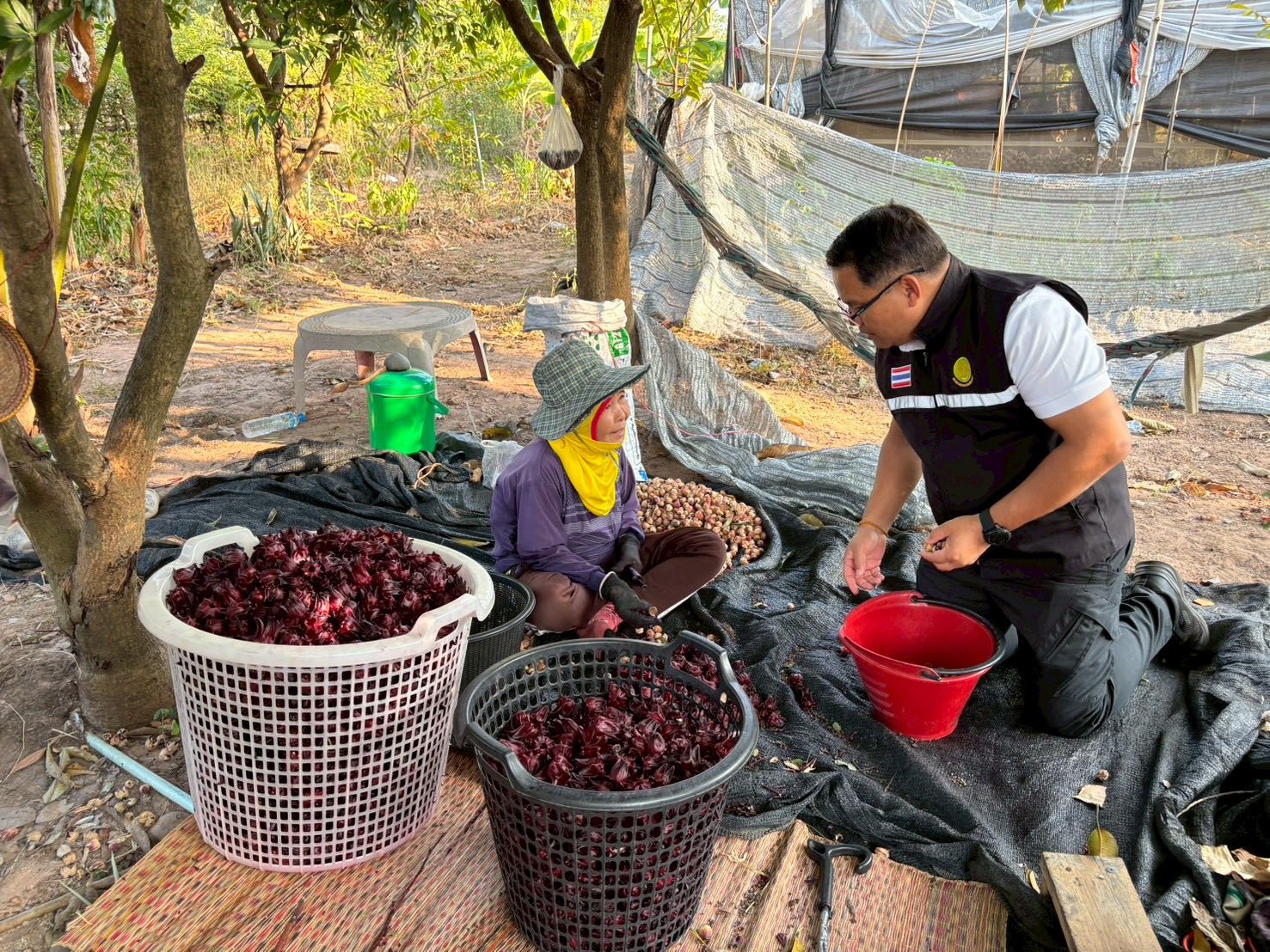 title - ส.ป.ก.กาฬสินธุ์ ลงพื้นที่ ตำบลนาจำปา อำเภอดอนจาน จังหวัดกาฬสินธุ์ 