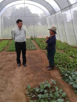 หัวหน้าเดชา ตรวจแปลงผักกางมุ้งที่ตำบลห้วยโพธิ์