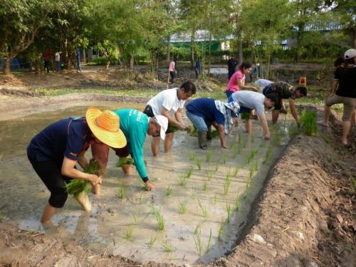 SMART OFFICE สำนักงานการปฏิรูปที่ดินจังหวัดกำแพงเพชร  